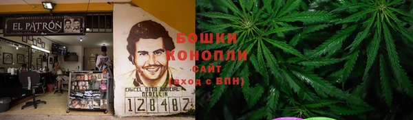 ешки Алзамай