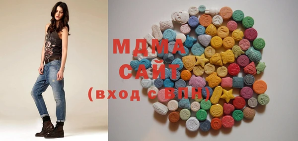 СК Алексин