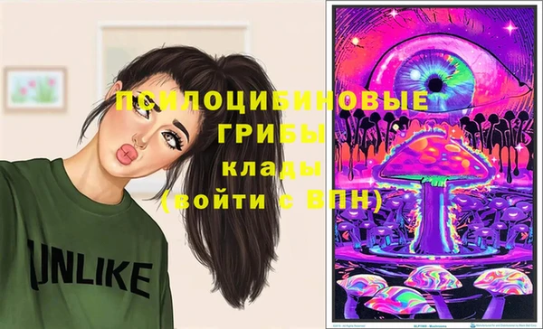 СК Алексин