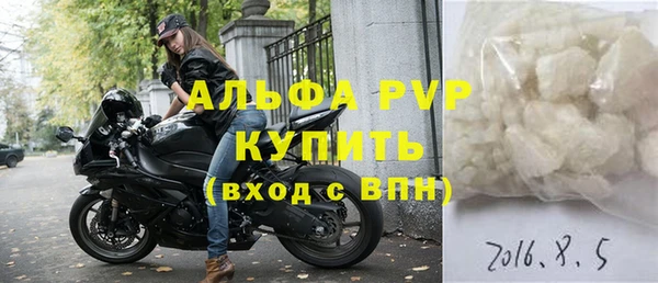 СК Алексин