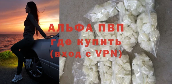 СК Алексин
