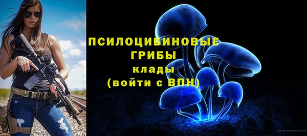 ешки Алзамай