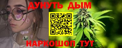 СК Новозыбков