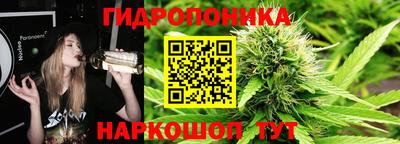 круглые Новодвинск