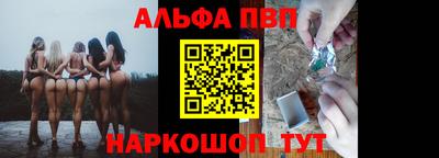 СК Новозыбков