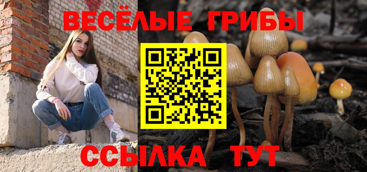 Галлюциногенные грибы Psilocybine cubensis  цена   Саянск  Вход с VPN 