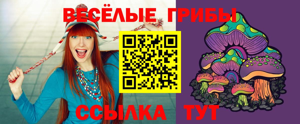 Галлюциногенные грибы мицелий Саянск